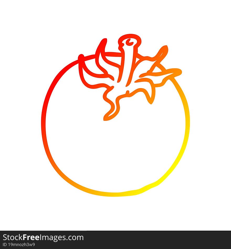 warm gradient line drawing of a fresh tomato