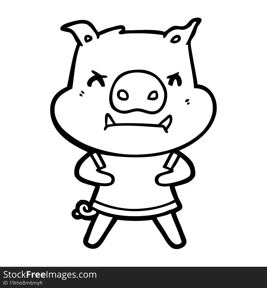 angry cartoon pig. angry cartoon pig