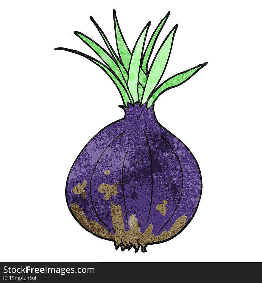 freehand drawn texture cartoon onion