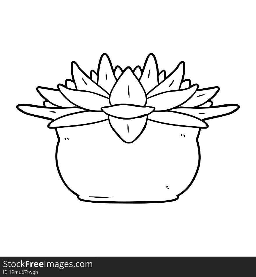 cartoon succulent plant. cartoon succulent plant