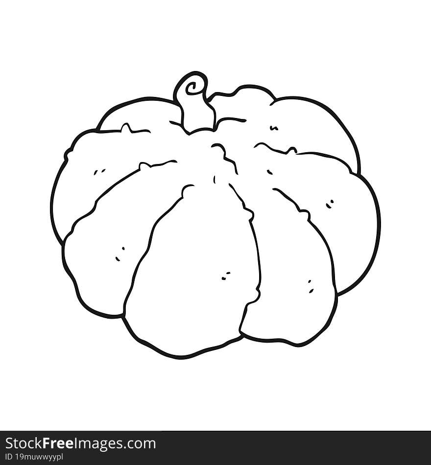 cartoon squash