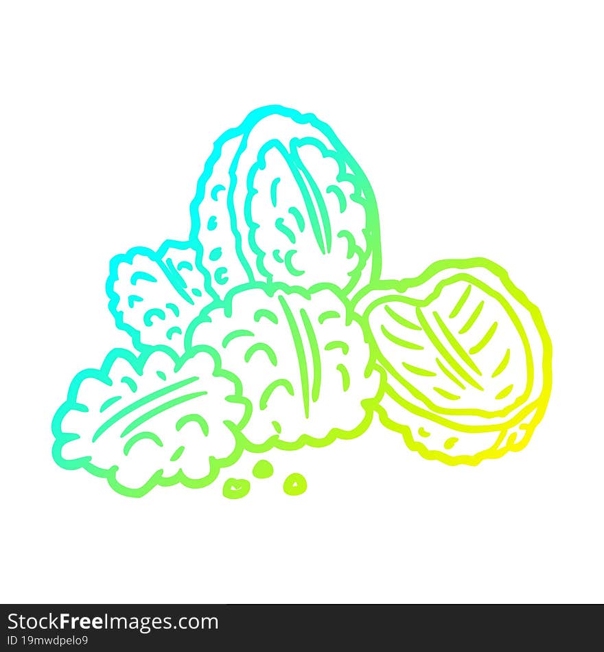 cold gradient line drawing walnuts