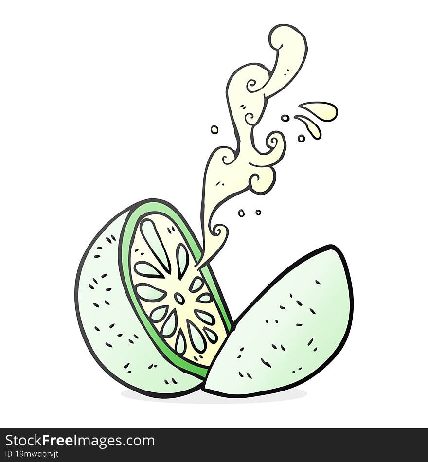 cartoon melon