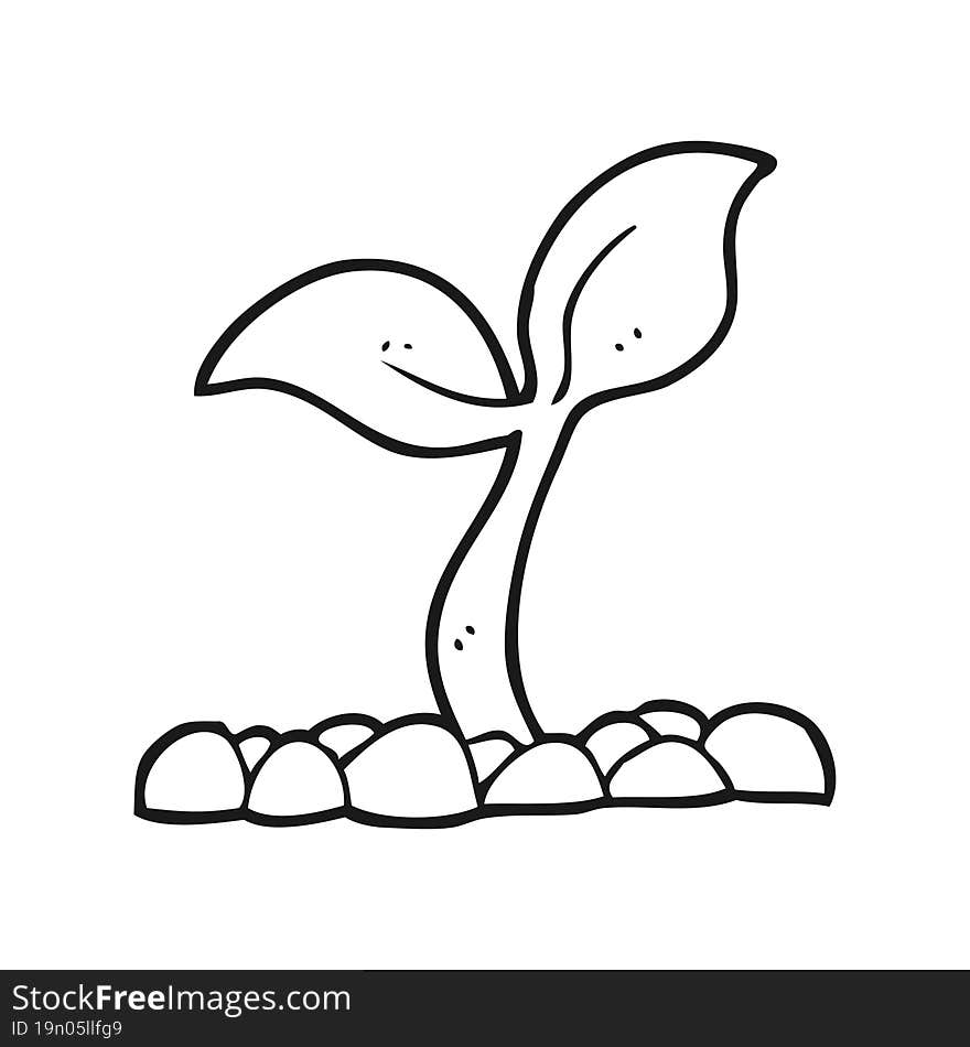 black and white cartoon seedling