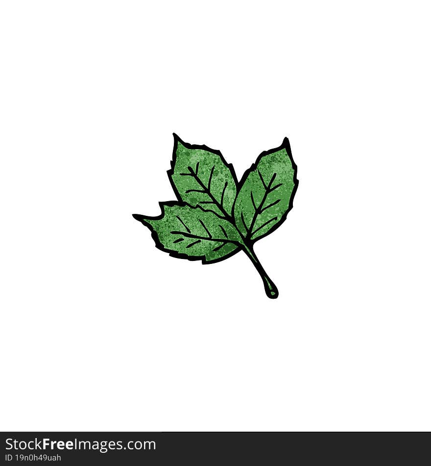 leaf illustration