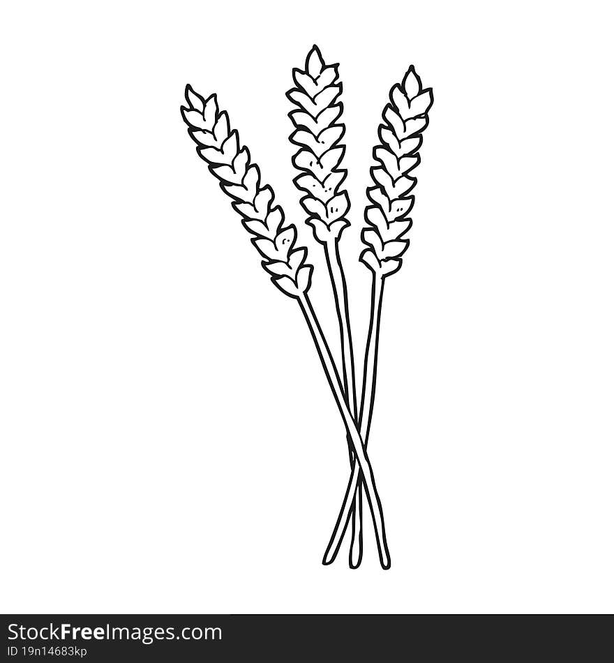 black and white cartoon wheat