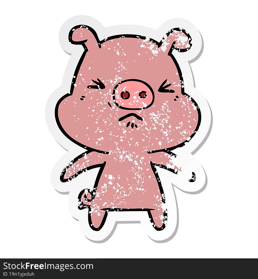 distressed sticker of a cartoon angry pig