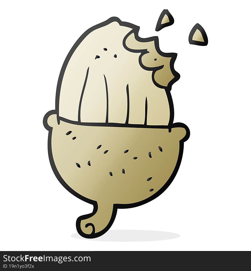 cartoon acorn