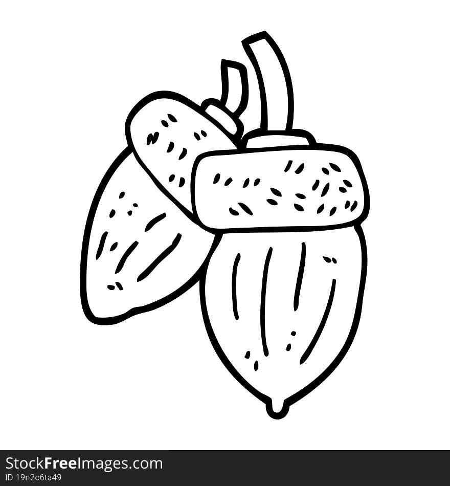 Line Drawing Cartoon Acorn