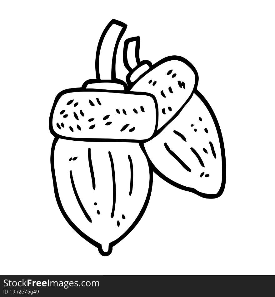 line drawing cartoon acorn