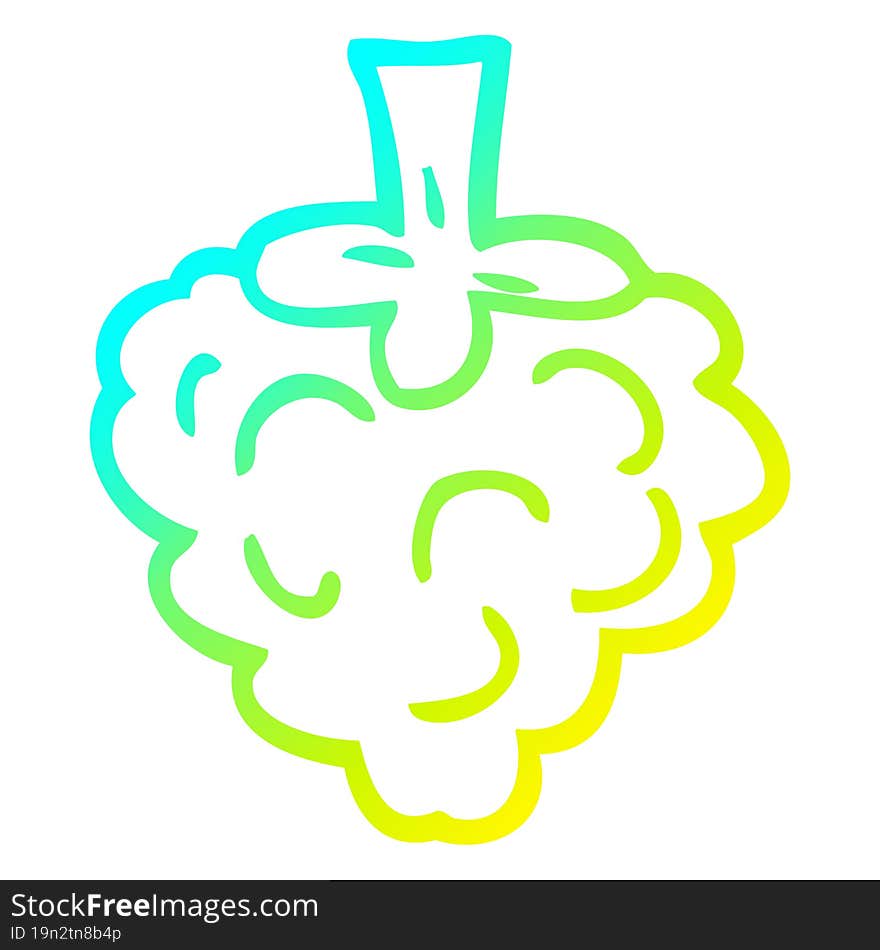 cold gradient line drawing cartoon raspberry