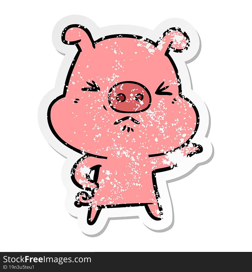 distressed sticker of a cartoon angry pig