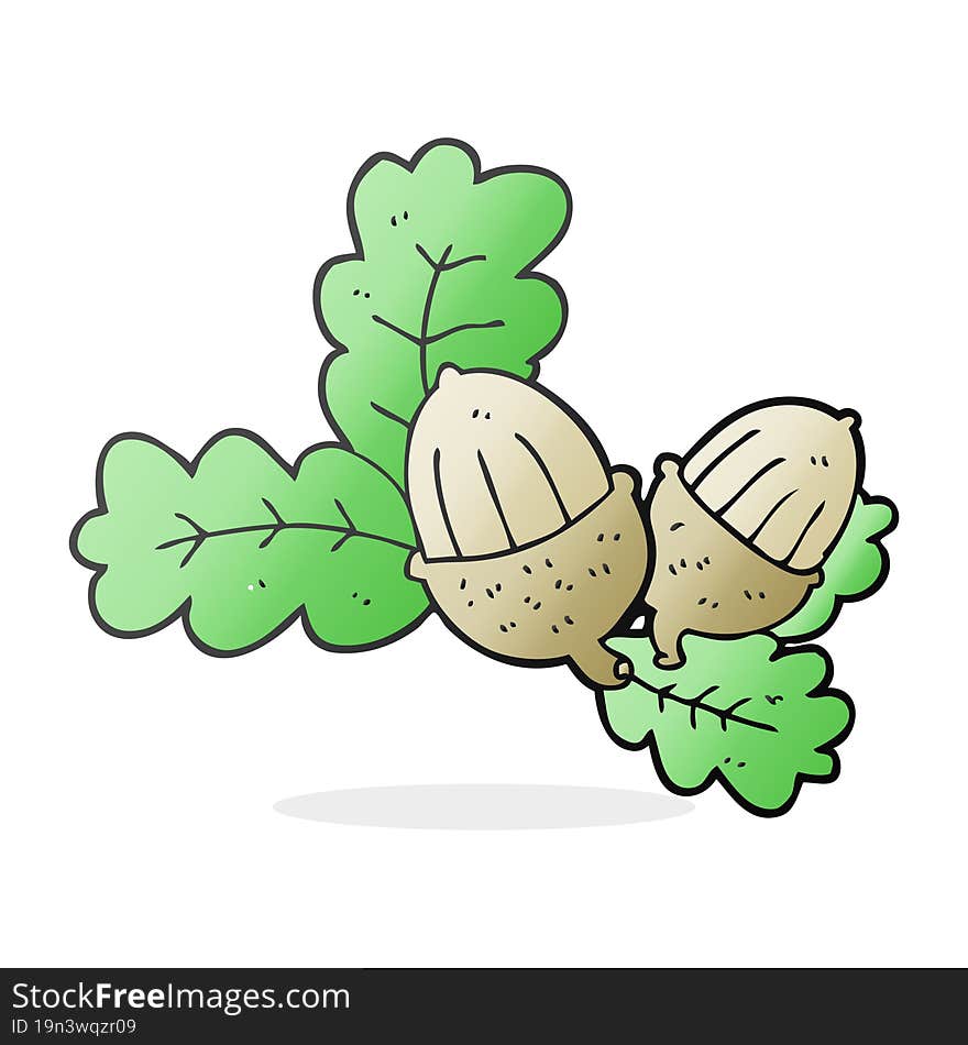 Cartoon Acorns And Leaves