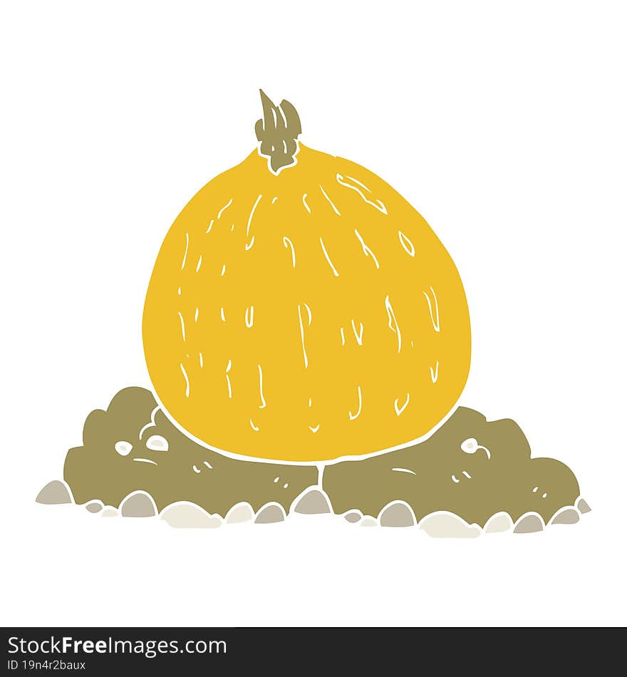 flat color illustration of a cartoon squash