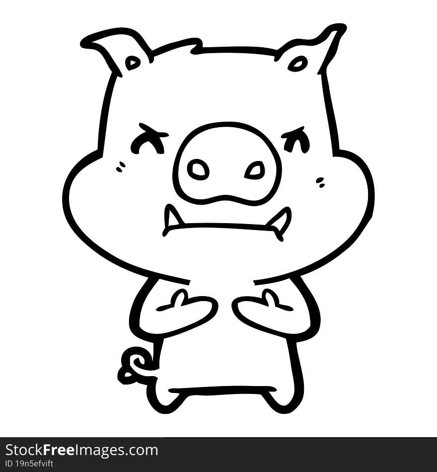 angry cartoon pig. angry cartoon pig