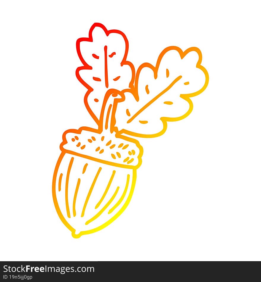 warm gradient line drawing cartoon acorn