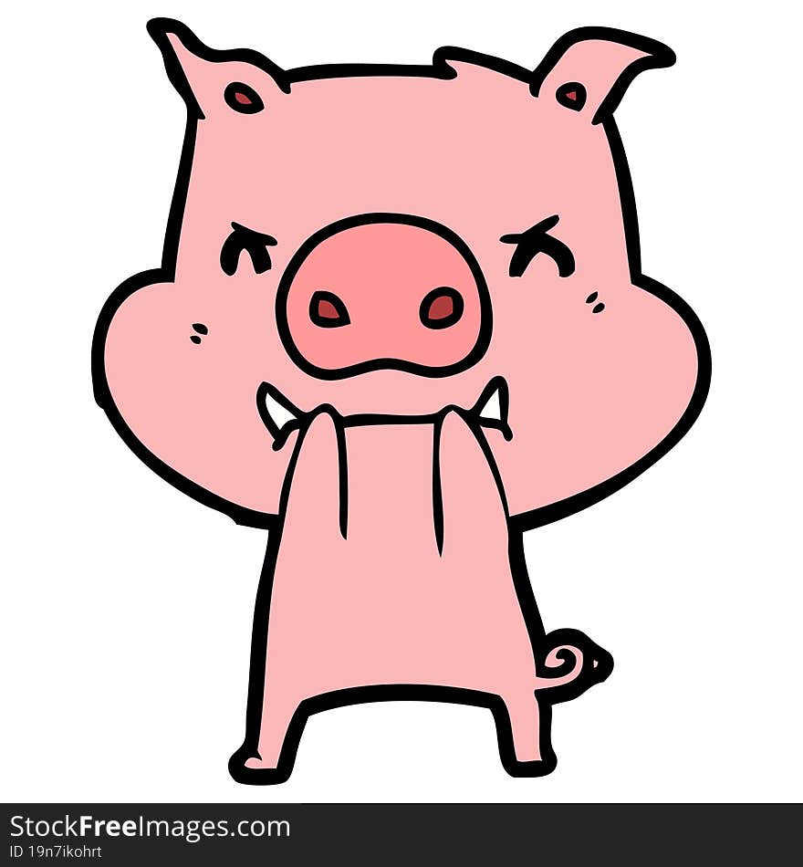 angry cartoon pig. angry cartoon pig