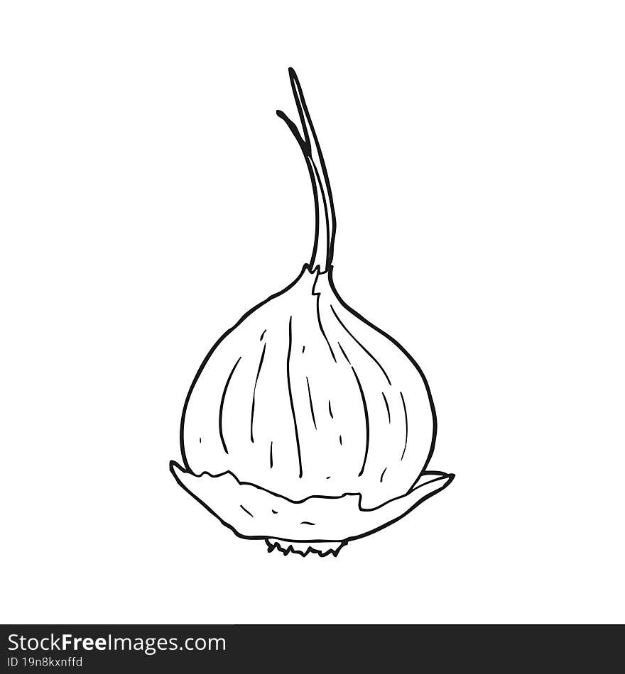 freehand drawn black and white cartoon onion