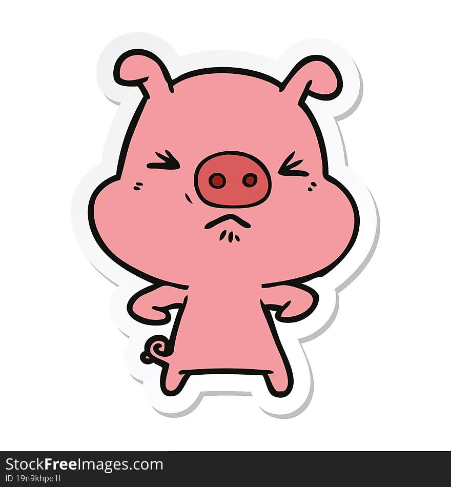 Sticker Of A Cartoon Angry Pig