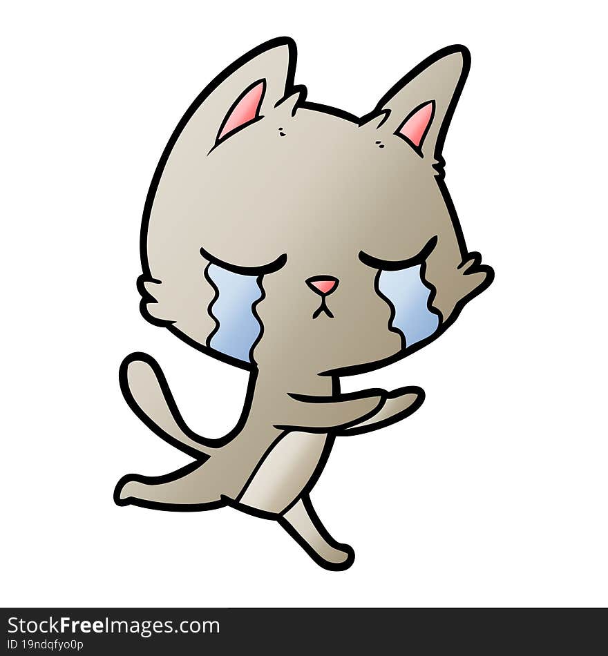 crying cartoon cat running. crying cartoon cat running