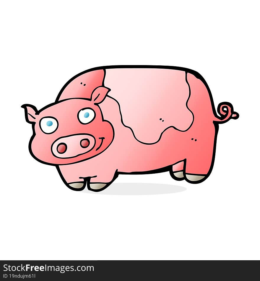 Cartoon Pig