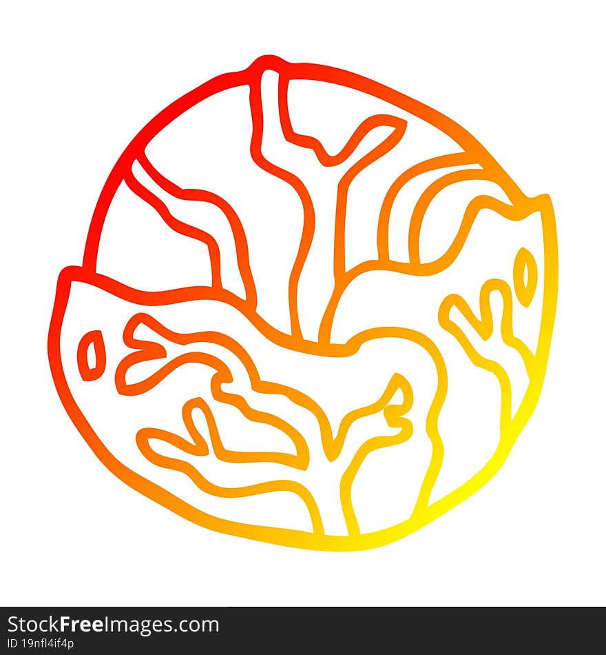 warm gradient line drawing cartoon cabbage