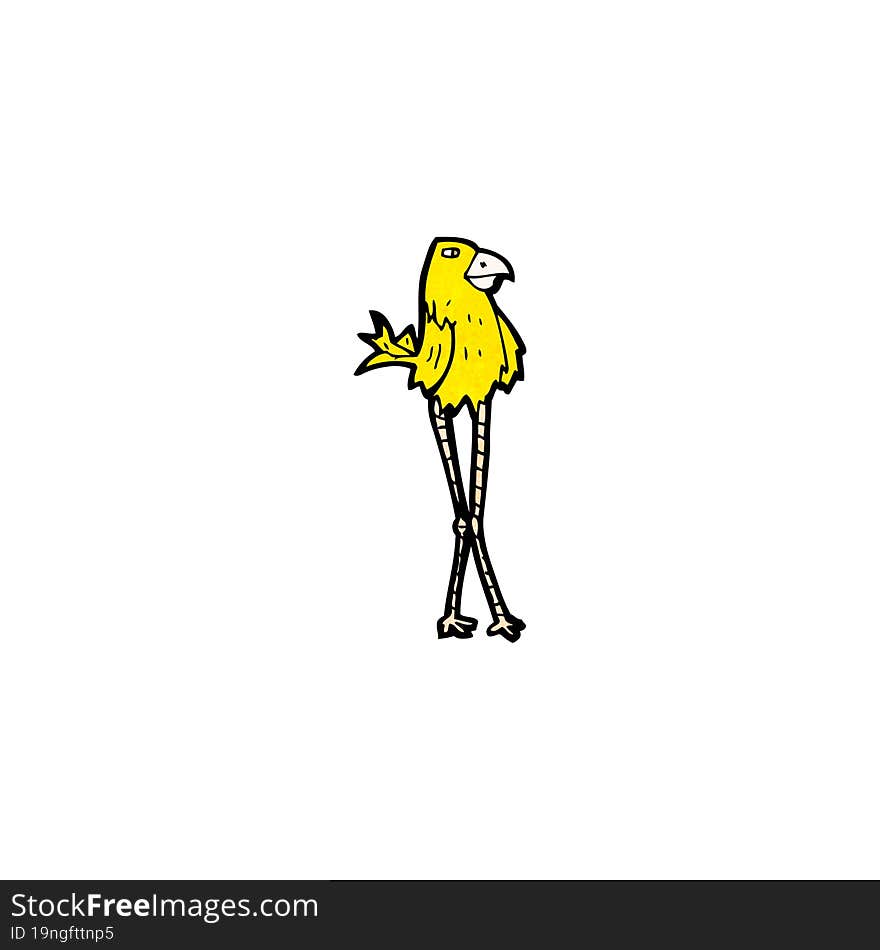 funny cartoon bird