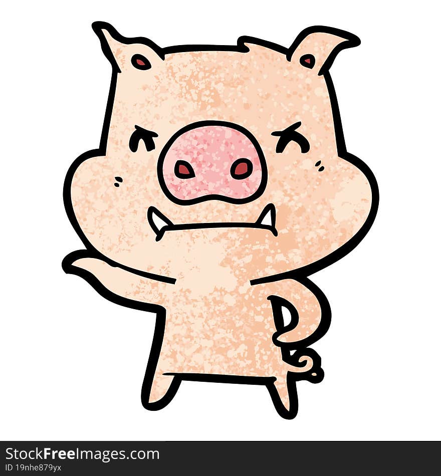 angry cartoon pig. angry cartoon pig