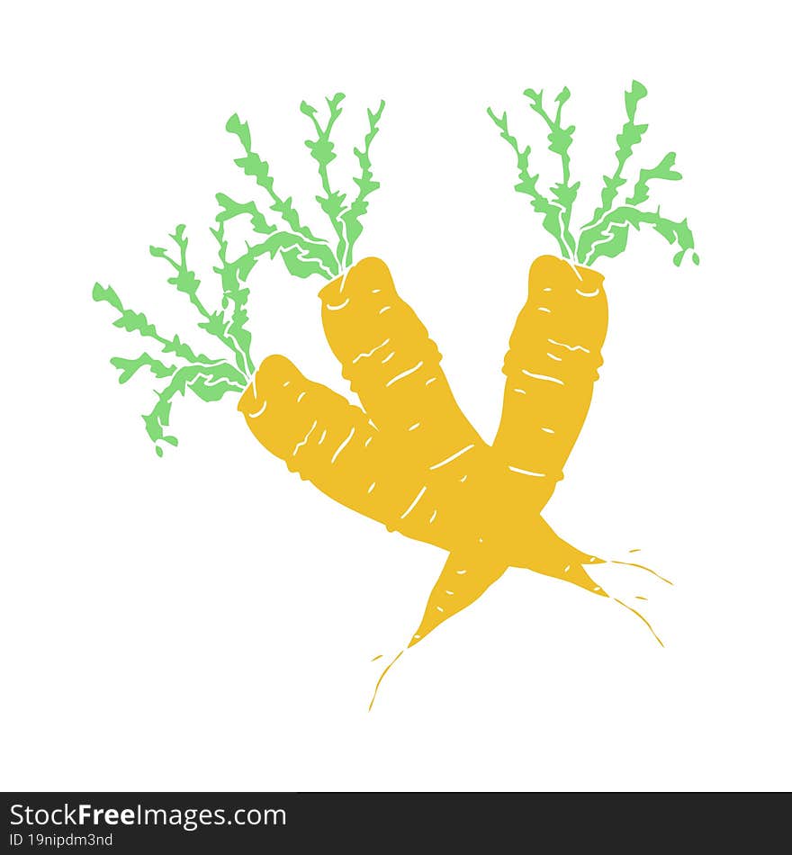 flat color illustration of carrots. flat color illustration of carrots