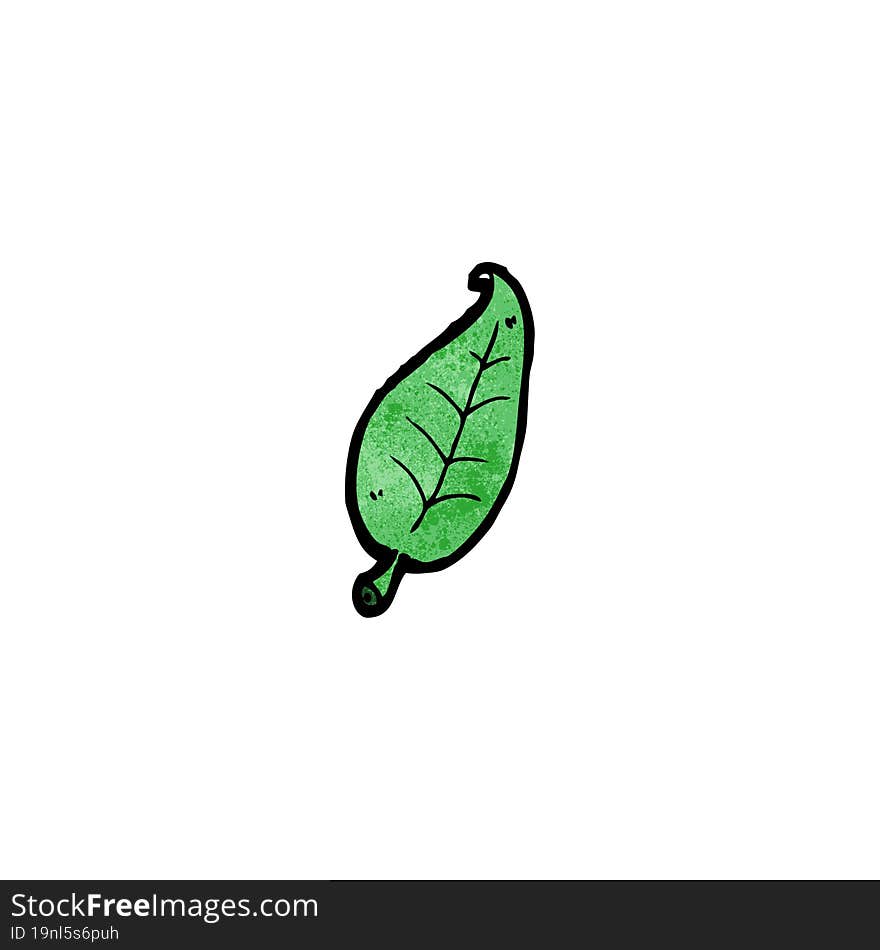 cartoon leaf