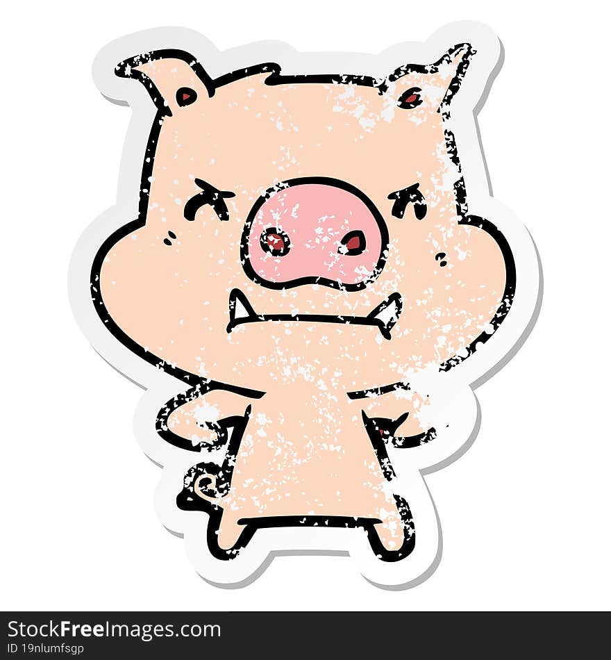 distressed sticker of a angry cartoon pig