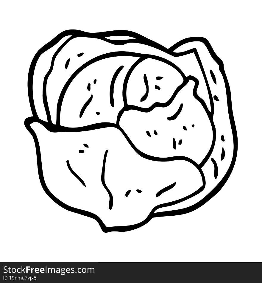 line drawing cartoon organic lettuce