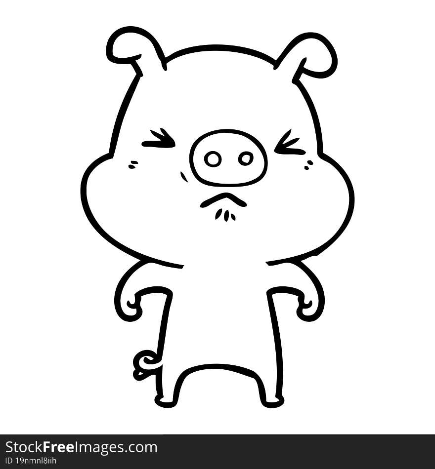 cartoon angry pig. cartoon angry pig