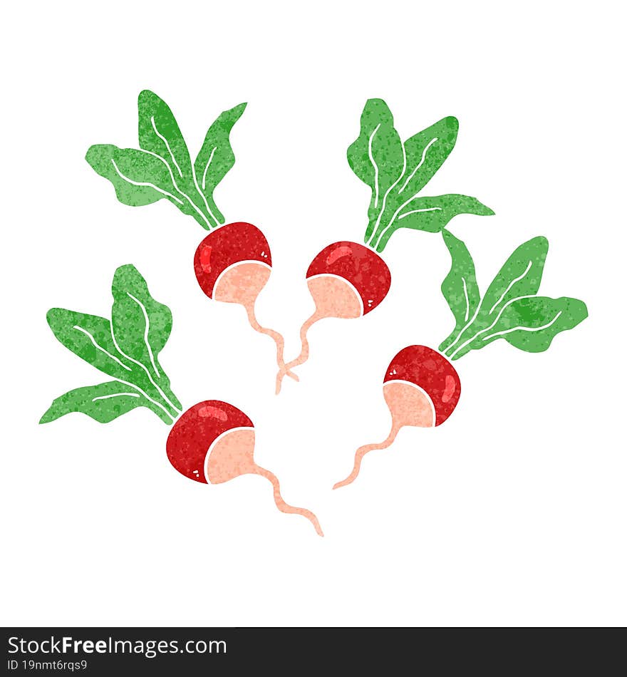 freehand drawn retro cartoon radishes