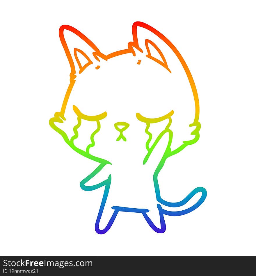 rainbow gradient line drawing crying cartoon cat