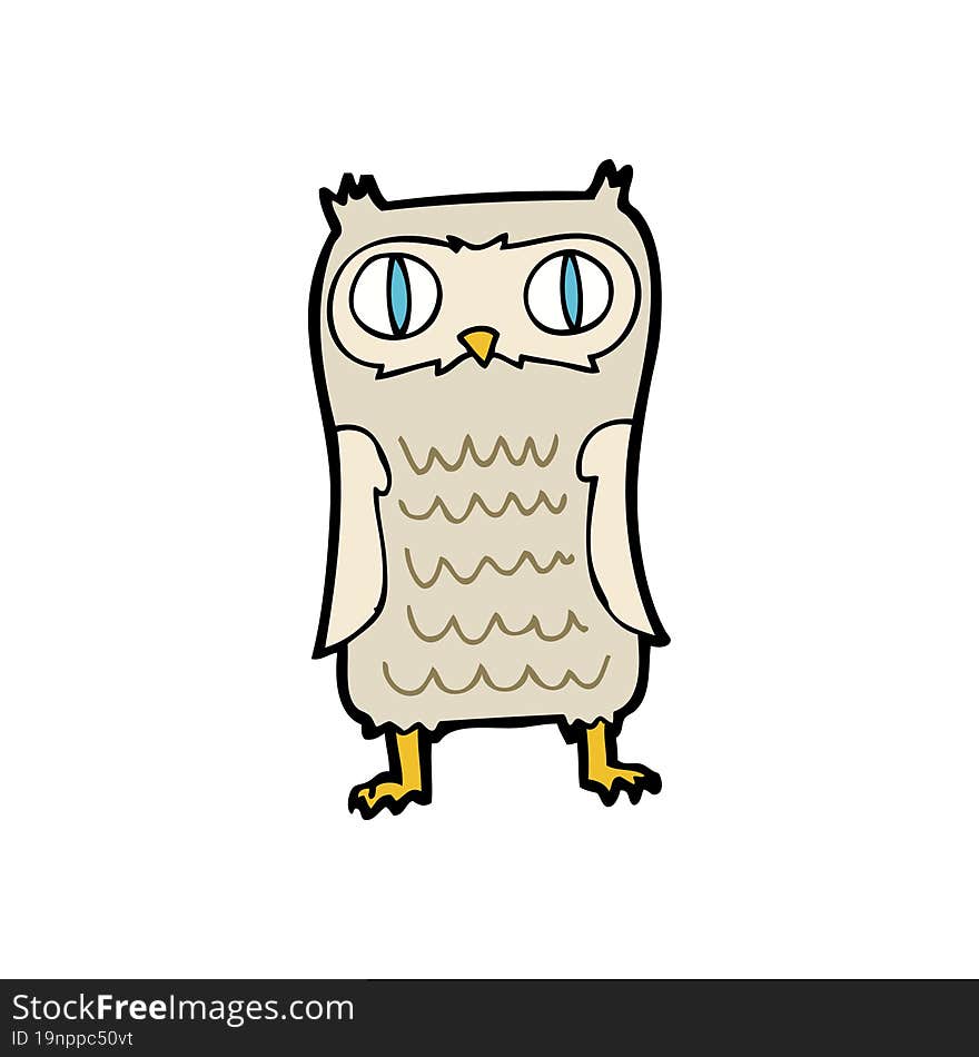 Cartoon  Owl