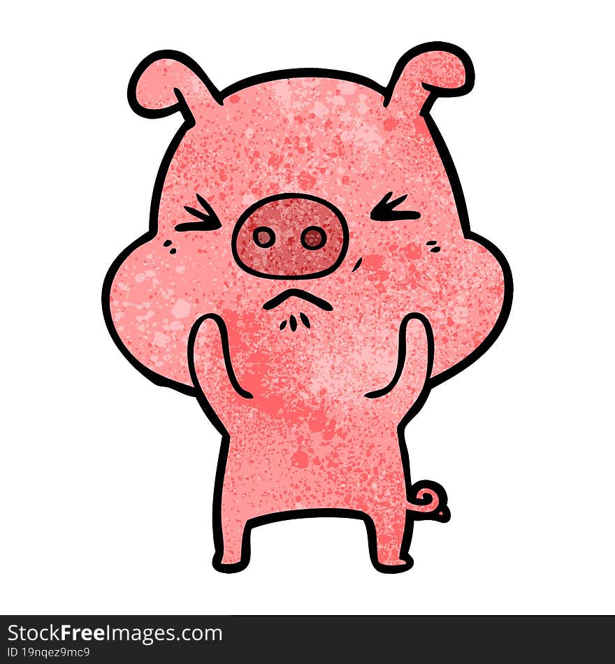 cartoon angry pig. cartoon angry pig