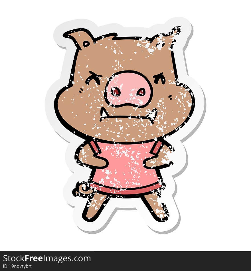 distressed sticker of a angry cartoon pig