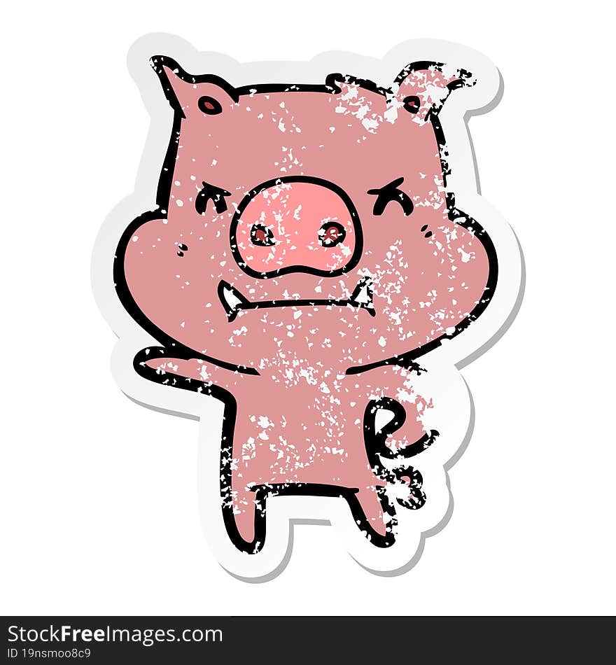 distressed sticker of a angry cartoon pig