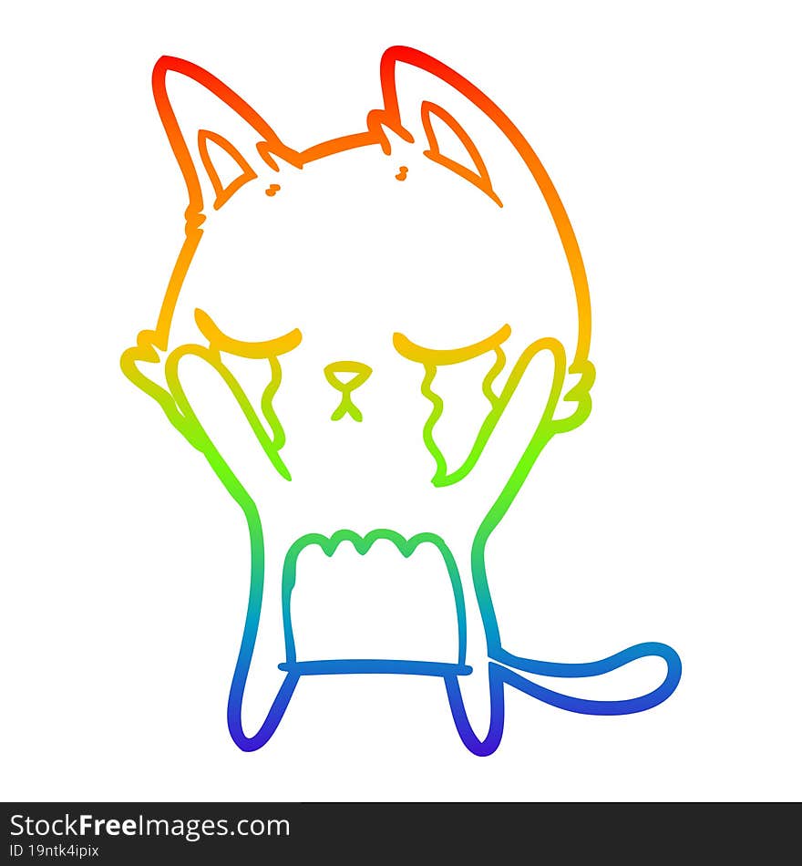 rainbow gradient line drawing crying cartoon cat