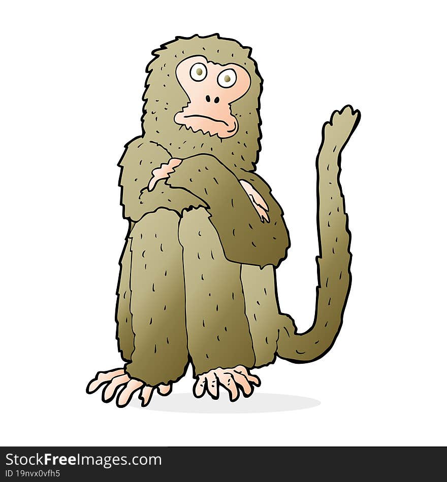 Cartoon Monkey