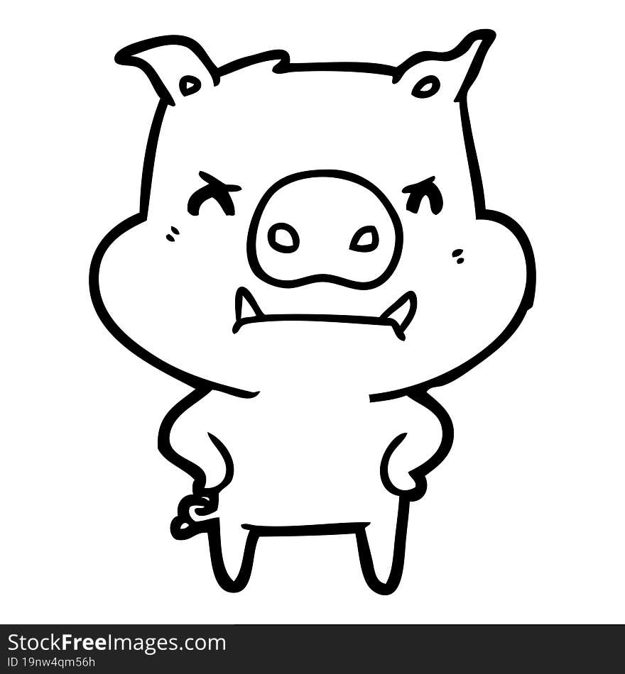 angry cartoon pig. angry cartoon pig