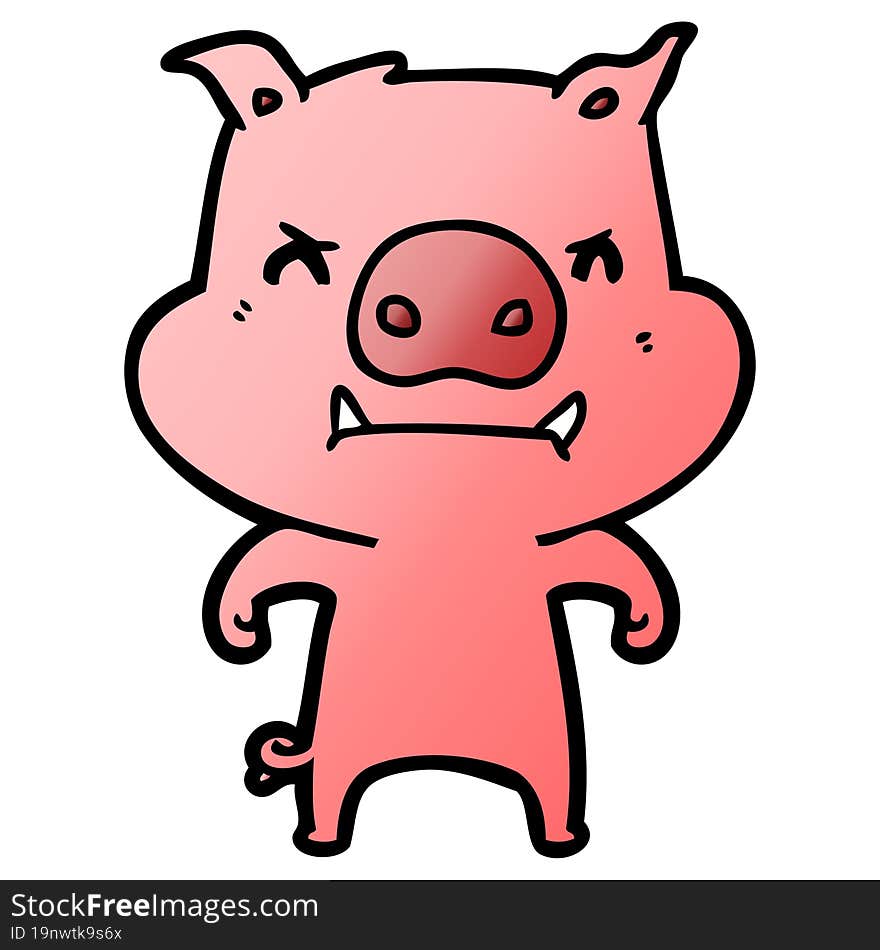 angry cartoon pig. angry cartoon pig