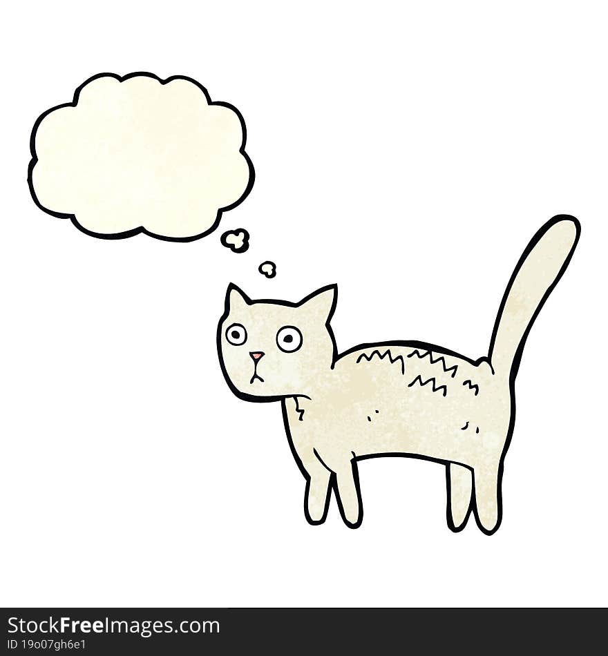 Cartoon Frightened Cat With Thought Bubble