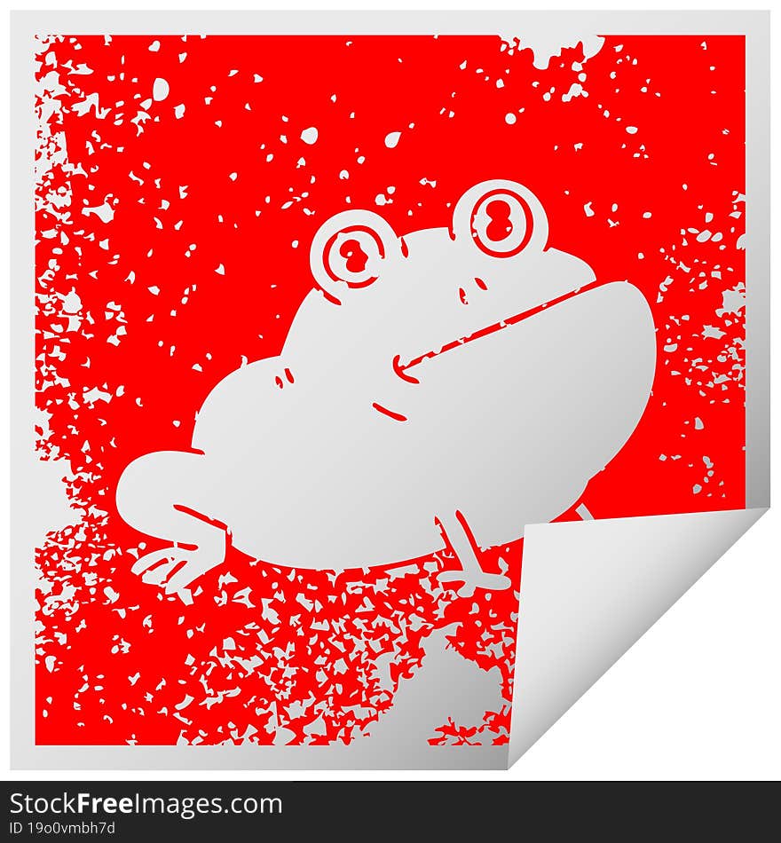 quirky distressed square peeling sticker symbol frog