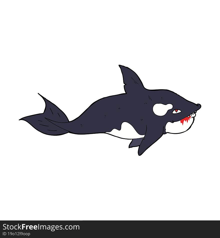 cartoon killer whale