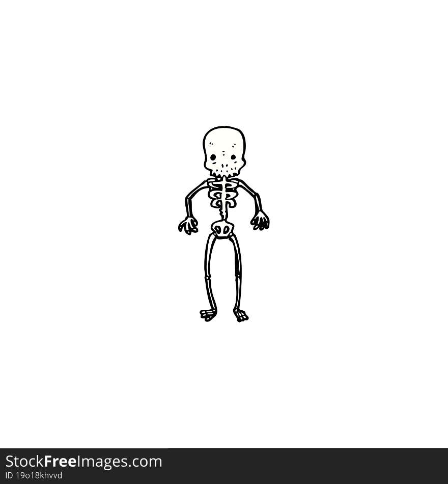 cartoon skeleton