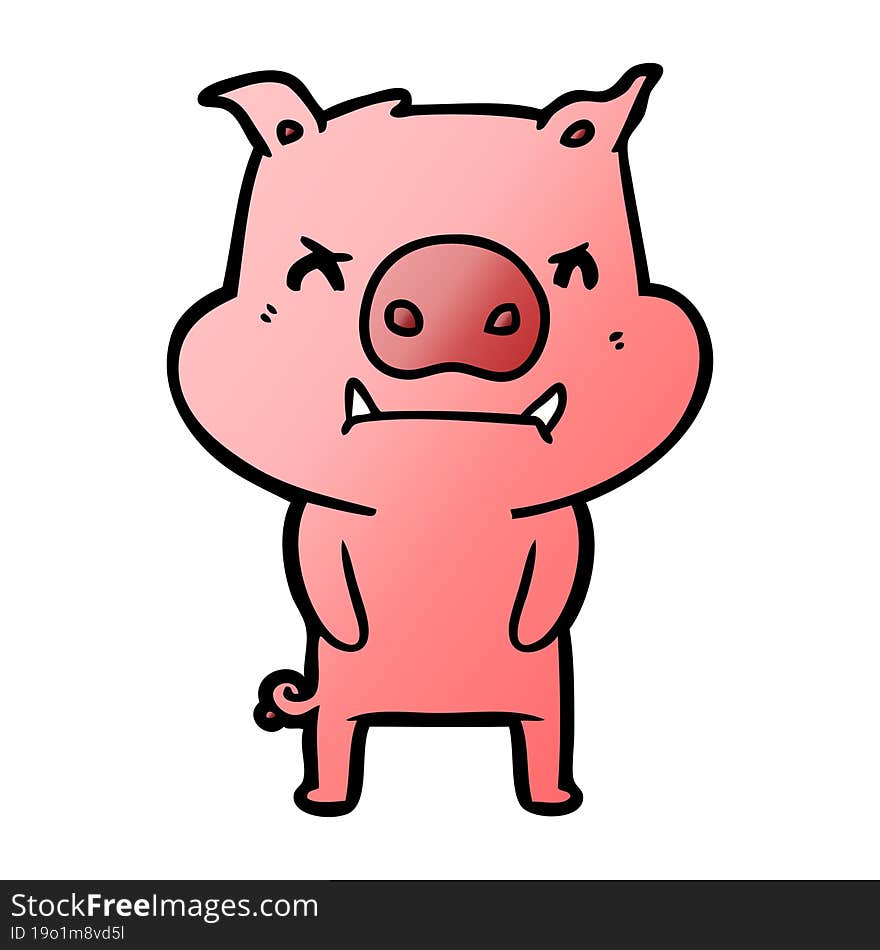 angry cartoon pig. angry cartoon pig