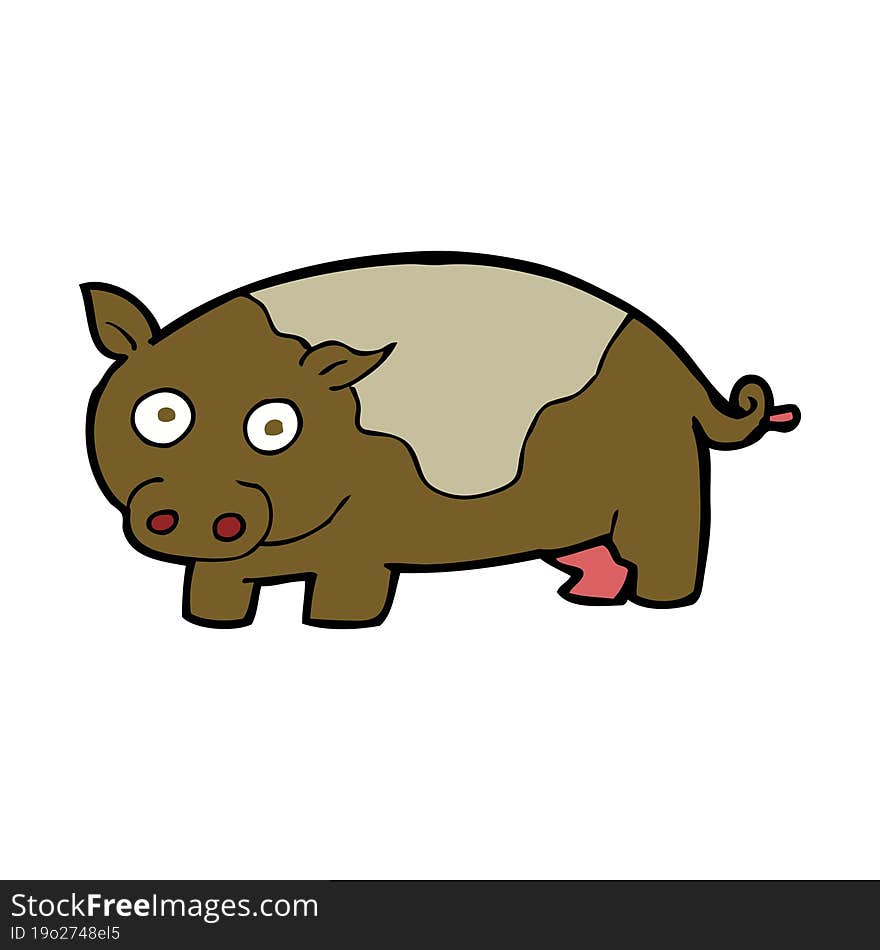 cartoon pig