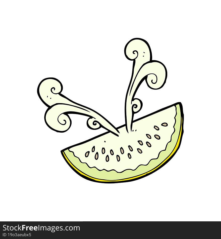 Cartoon Melon Slice